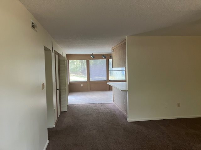 Gallery Photo 2
